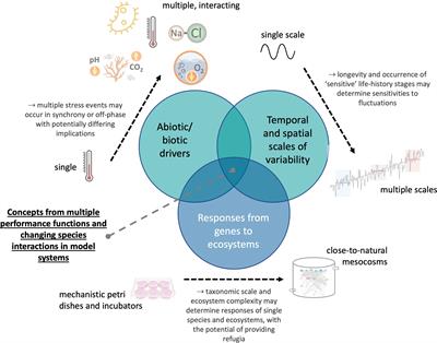 Editorial: Influence of environmental variability on climate change impacts in marine ecosystems